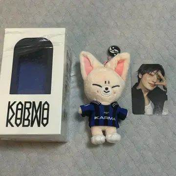 straykids KARMA SKZOOver. 아이엔 폭시니