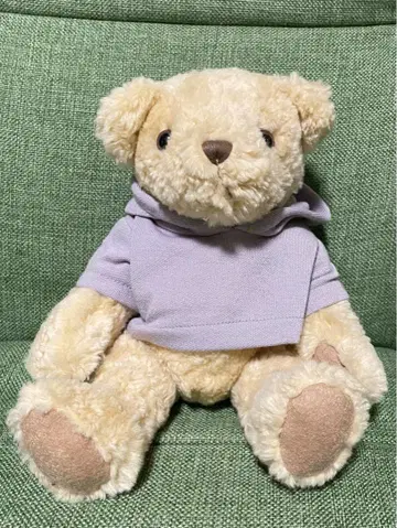 후드티를 입은 곰 봉제 인형 테디베어