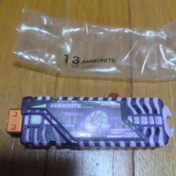 암모나이트 메모리