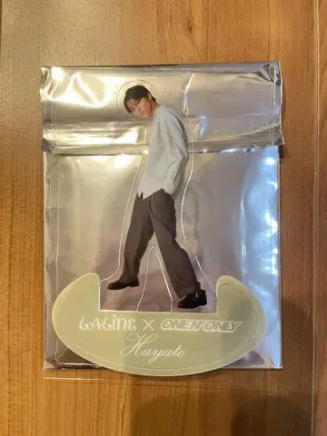Laline 원앤 클리어 스탠드 HAYATO