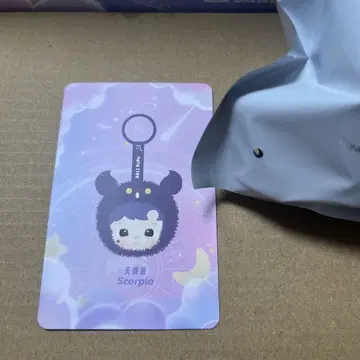 HACIPUPU The Constellation 별자리