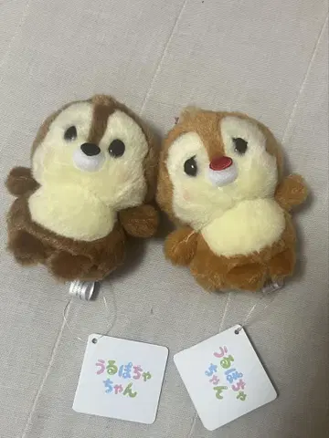 디즈니 칩과 데일 우루포챠짱
