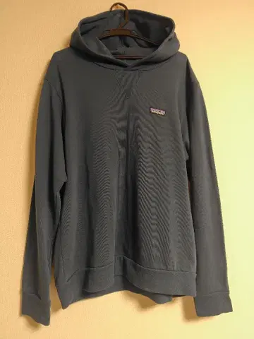 patagonia 오가닉 코튼 후디 스웨트 셔츠