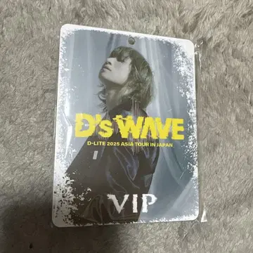 D-LITE 2025 아시아 투어 VIP 패스