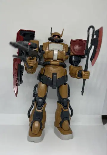 HG MS-06F 자쿠 F형 솔라리 완성품