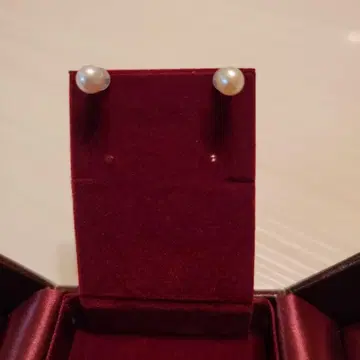 귀걸이