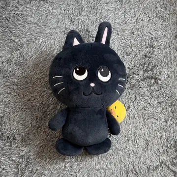 RIIZE 40cm 인형 원빈