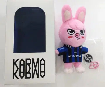 straykids KARMA SKZOO ver 돼끼