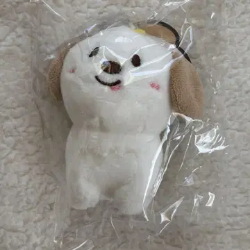 [오늘 발송 가능 ] RIIZE 앤톤 몽룡이 10cm 봉제 인형 새상품