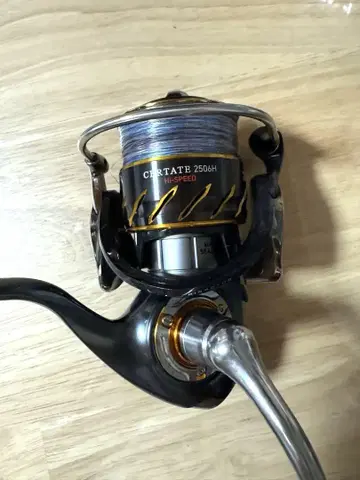 daiwa CERTATE 2506H