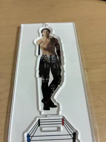 타케치 카이세이 프로레슬링