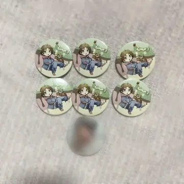 타누완 2025 Update 캔뱃지