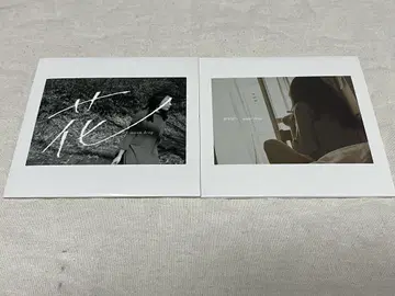 moondrop 데모 단종