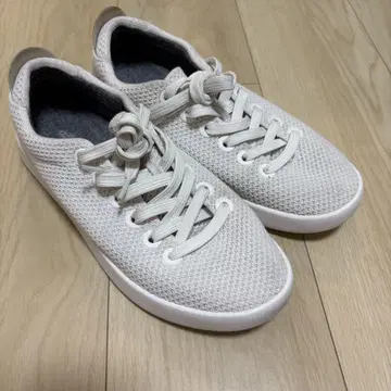 allbirds 올바즈 트리 파이퍼
