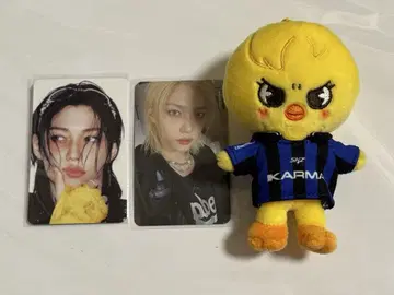 KARMA stray kids 필릭스 skzoo반 포가리