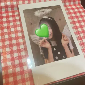 이기가리 도호쿠산 요시세 진주 폴라로이드