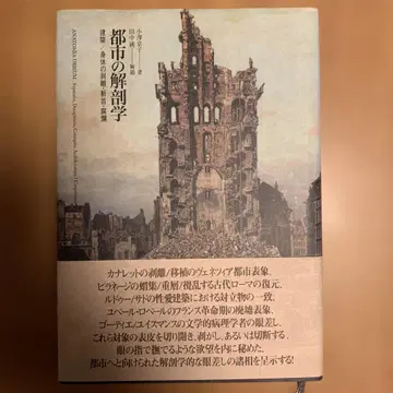 도시의 해부학 : 건축/신체의 박리 참수 부패