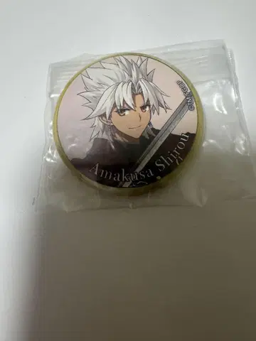 fgo 아마쿠사 시로