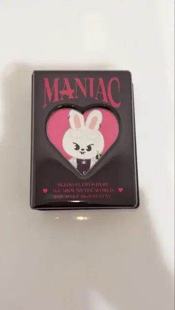 straykids maniac 콜렉트북 리노
