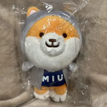 6일까지 MIU404 라스트 마일 폴리 봉제 인형