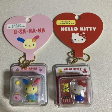 U-SA-HA-NA HELLO KITTY 미니어처 패키지 참
