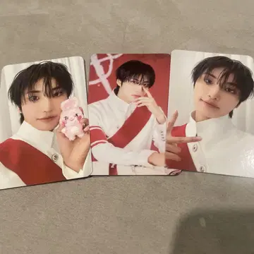 ateez aniteez 랜도메이