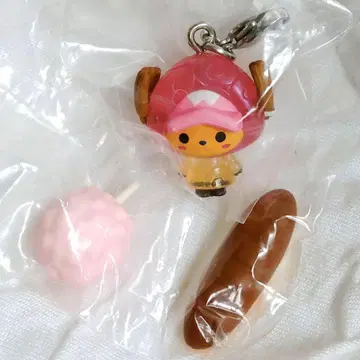 즉시 구매 가능 초파 장미 불가