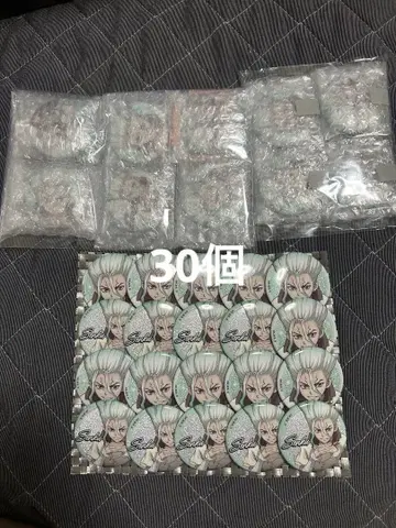 이시가미 센쿠 캔뱃지 닥터스톤 DrSTONE