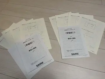 사피 오픈 와세다 중학교 12 2023년 실시