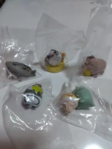 스미코구라시와 스미다 수족관의 생물들 5종 세트