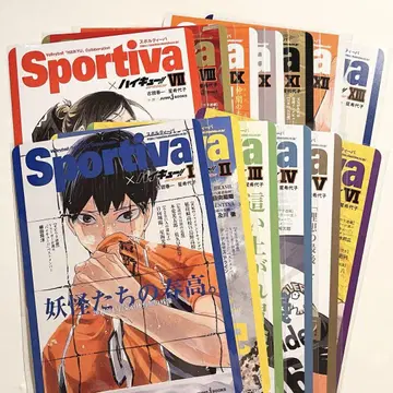 하이큐 쇼세츠반 Sportiva 애니메이트 비주얼 보드 전종