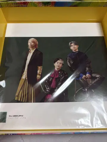 LP 사이즈 사진 포스터 Mrs. GREEN APPLE 10