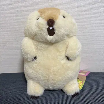 마모트의 모토토모아 JB