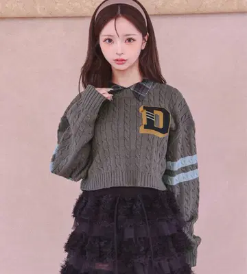 darich 칼리지 와펜 숏 니트탑