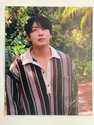 BTS 정국 캔버스 패널