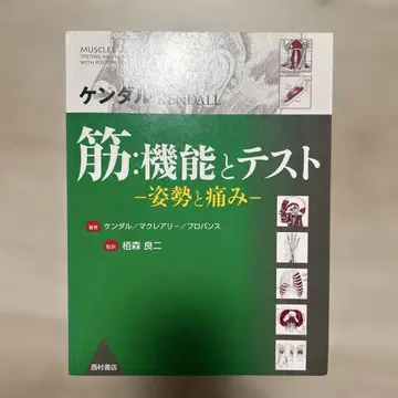 켄달 근육: 기능과 테스트 : 자세와 통증