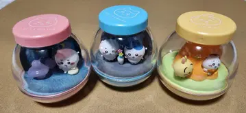 치이카와 카프세리움 3종 세트 컴프