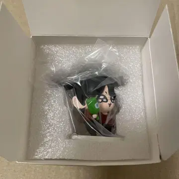정국 마스터님 목님 랜덤 특전 랜덤 피규어