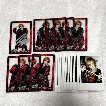 Royz 토모야 씨 정리