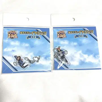 테니스의 왕자님 스카이 다이빙 귀찌 타키하기노스케 아쿠타가와지로