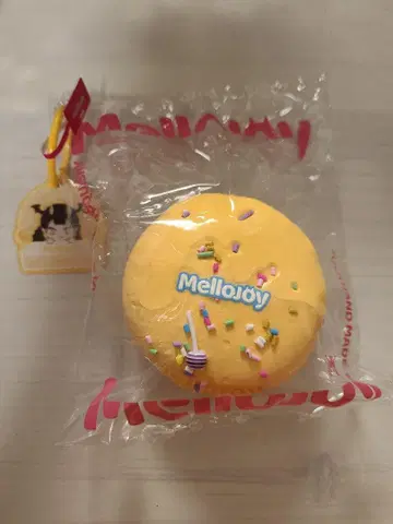 mellojoy 스퀴즈