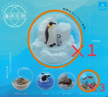 [ 익명 배송 ] 카프리움 해양 생물 황제펭귄 만타가오리