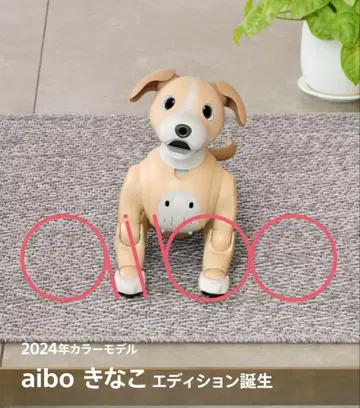 [레어 판매 종료 미사용 새상품] aibo 2024년 컬러 모델 키나코