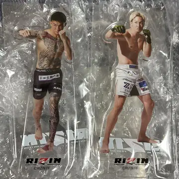 RIZIN 아크릴 스탠드 2체 세트 아사쿠라 미쿠루 하라카와 쿄헤이