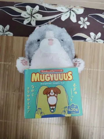 쪼이토레 무규즈 봉제 인형 고양이