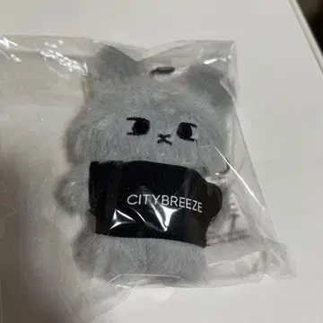 citybreeze 토끼 키링 도영 nct