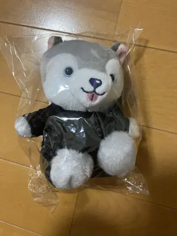 노킹 온 락드 도어 앉은 봉제 인형 토리이 이누 미개봉 마츠무라 호쿠토
