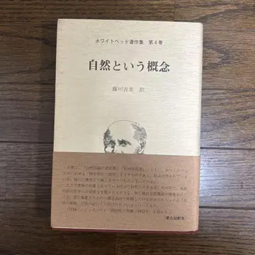 자연이라는 개념 화이트헤드 (화이트헤드 저작집 제4권) 송뢰사