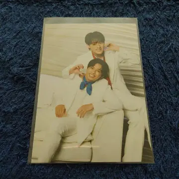 더 텔레비전 혜택 브로마이드 무카이야마 츠요시 하시즈메 켄지