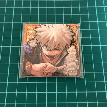 히로아카 바쿠고 아크릴 마그넷 십걸